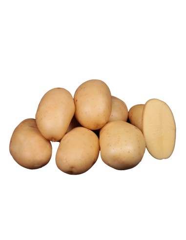 + La sélection de nos experts Semences de pommes de terre BIO - variété TENTATION