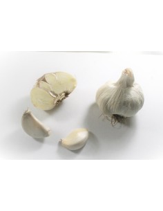 Plants de bulbes potagers - variété ail blanc AUXILTO