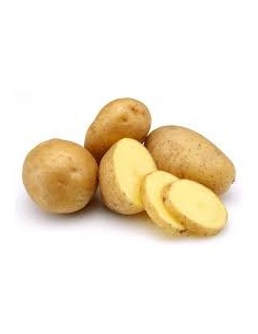 Plants de pommes de terre - variété CICERO