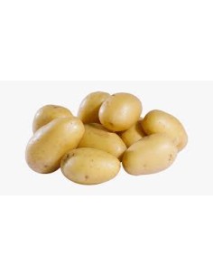 Plants de pommes de terre - variété JAZZY