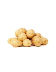 Plants de pommes de terre - variété JELLY