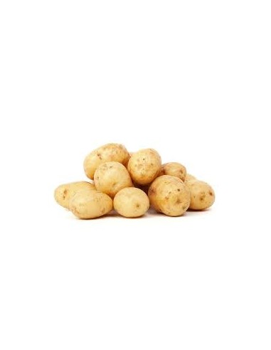 Plants de pommes de terre - variété JELLY
