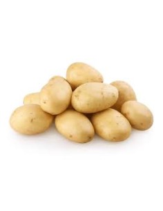Plants de pommes de terre - variété LIBERTA