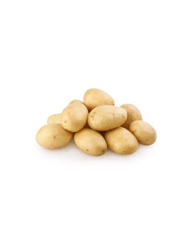 Plants de pommes de terre - variété LIBERTA