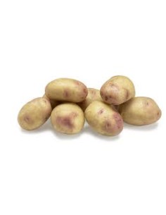 Plants de pommes de terre BIO - variété CAROLUS