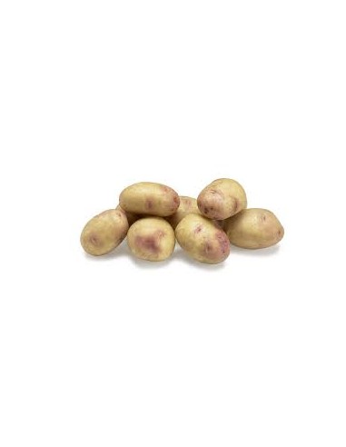 Plants de pommes de terre BIO - variété CAROLUS