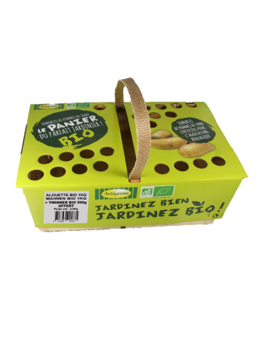 Semence de pommes de terre BIO - PANIER 3 VARIETES