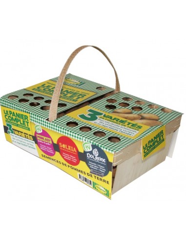 Semence de pommes de terre - PANIER 3 VARIETES