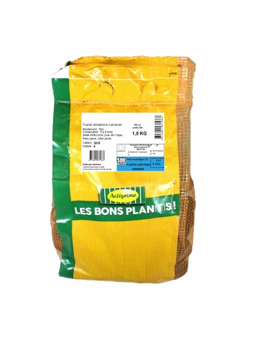 Semences de pommes de terre - variété ELODIE