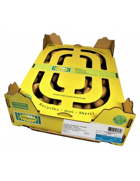 Semences de pommes de terre - variété ANAIS