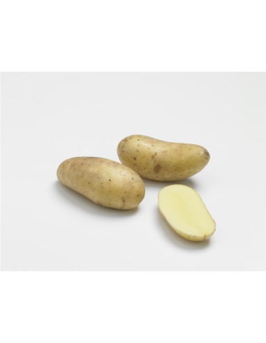 + Sélection de nos experts Semences de pommes de terre - variété CHARLENE