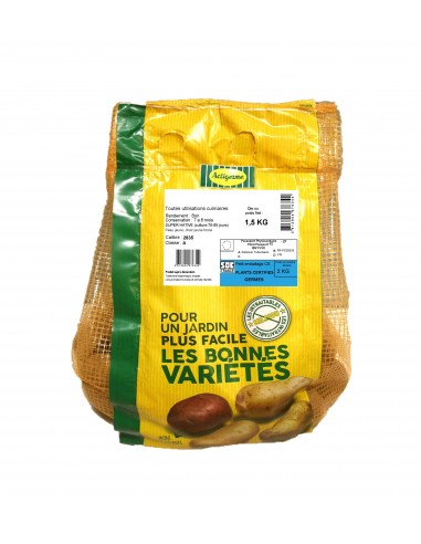 Les Intraitables - Semences de pommes de terre...