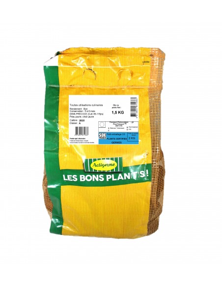 +  Sélection de nos experts Semences de pommes de terre - PRIMLADY ® variété RIKEA