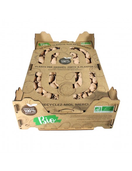 Semences de pommes de terre BIO - variété GOURMANDINE