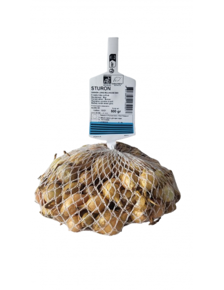 Semences de bulbes potagers BIO - variété oignon STURON