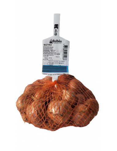 +  la sélection de nos experts Semences de...