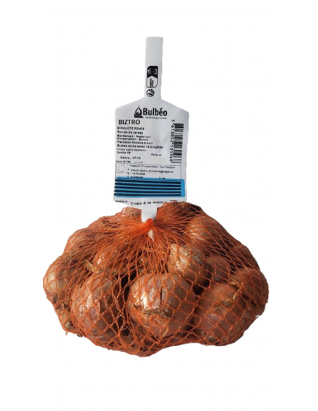 +  la sélection de nos experts Semences de bulbes potagers - variété échalote BIZTRO