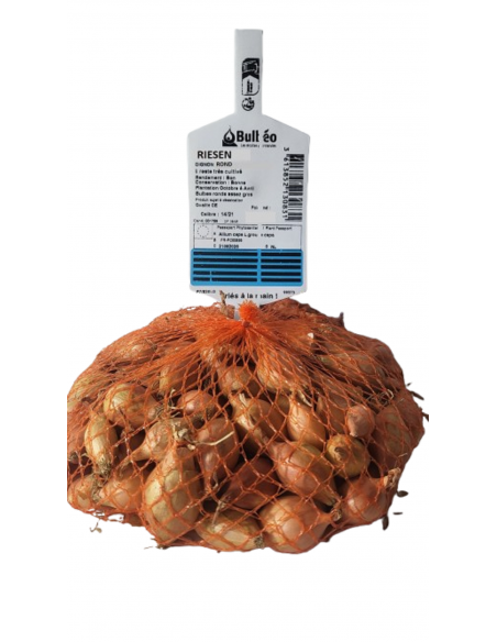 Semences de bulbes potagers - variété oignon RIESEN