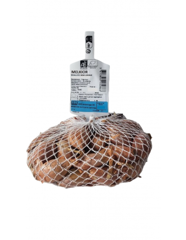 Semences de bulbes potagers BIO - variété...
