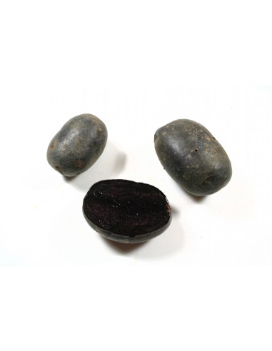 Les Originales - Semences de pommes de terre...