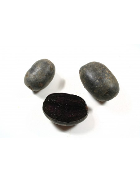 Les Originales - Semences de pommes de terre BIO - variété TRUFFETTE