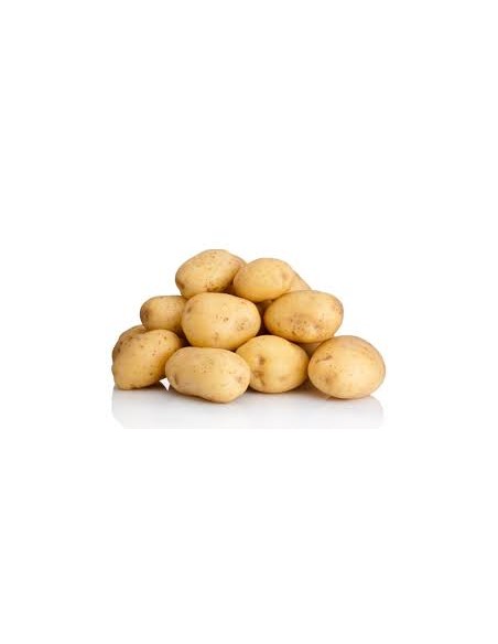 Les Intraitables - Plants de pommes de terre - variété BYZANCE