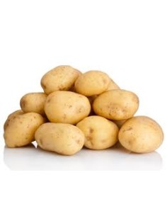 Les Intraitables - Plants de pommes de terre BIO -...