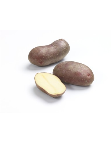 Plants pommes de terre BIO - variété CHEYENNE
