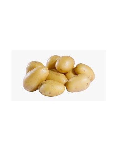 Semences de pommes de terre - variété JAZZY