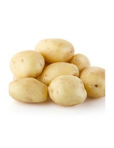 Plants de pomme de terre - variété ONDINE