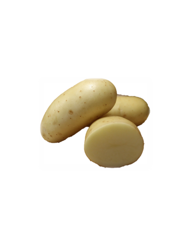 Plants de pommes de terre BIO - variété ATHENA