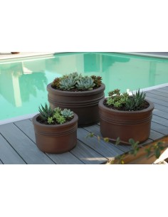 Coupe Alliance lot de 3 pièces