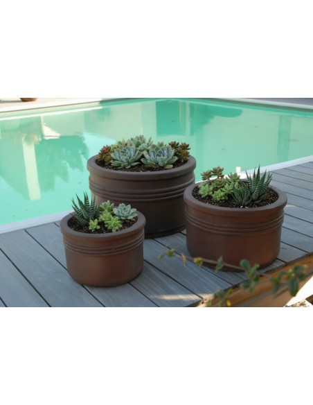 Coupe Alliance lot de 3 pièces