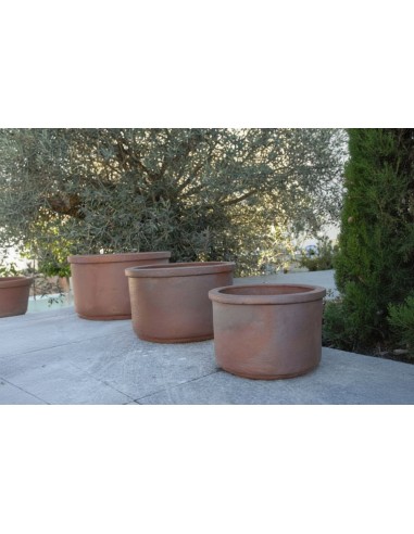 Coupe Audience lot de 3 pièces