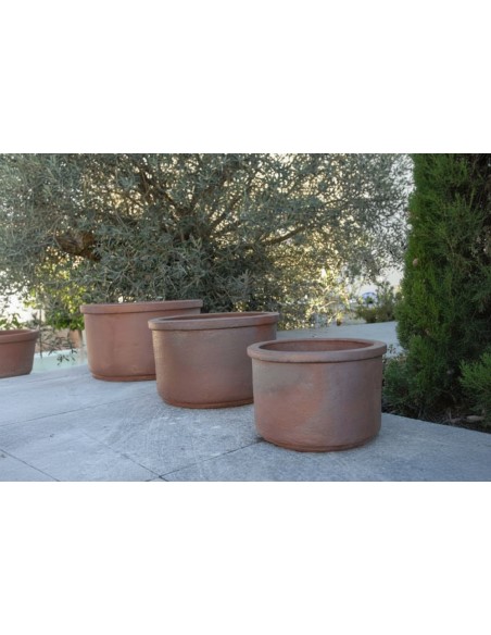 Coupe Audience lot de 3 pièces