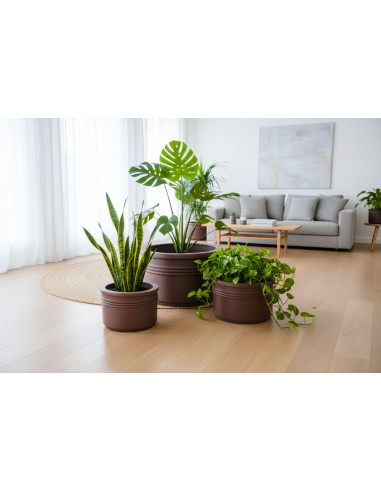 Coupe Alliance lot de 3 pièces