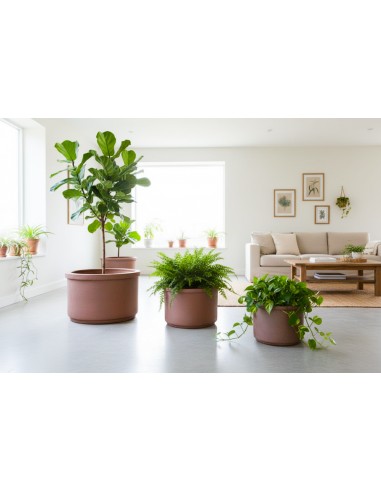 Coupe Audience lot de 3 pièces