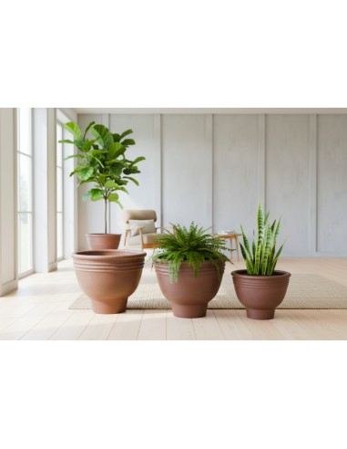 Coupe Equateur lot de 3 pièces