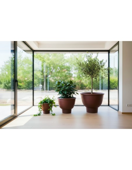Coupe Equinoxe lot de 3 pièces