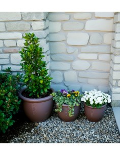 Coupe Esquisse lot de 3 pièces