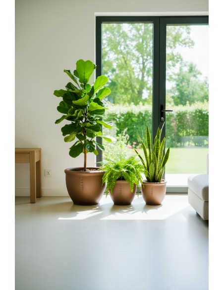 Coupe Esquisse lot de 3 pièces