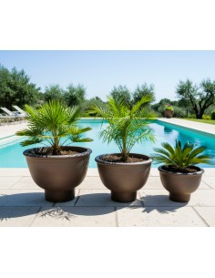 Coupe Equinoxe lot de 3 pièces