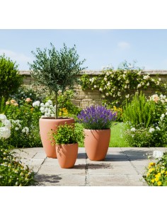 Pot Prospere lot de 3 pièces