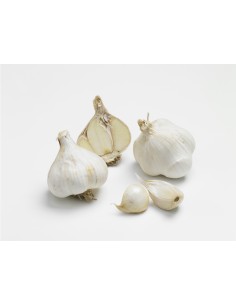 Semences de bulbes potagers BIO - variété ail MESSIDROME