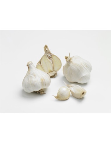 Semences de bulbes potagers BIO - variété ail...
