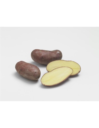 Semences de pommes de terre - variété CHERIE