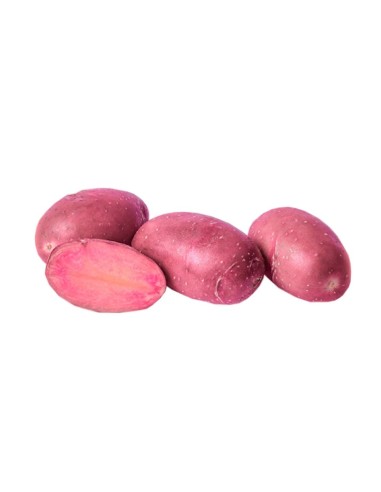 + Sélection de nos experts Semences de pommes de terre - variété LILY-ROSE