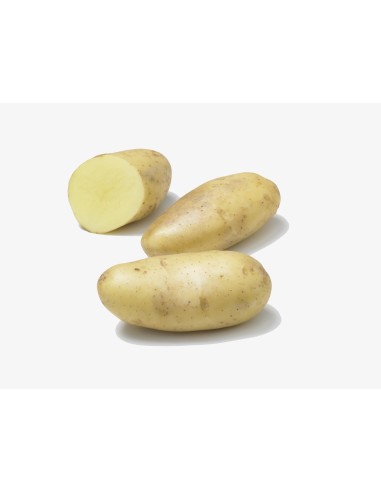 Les intraitables - Semences de pommes de terre...