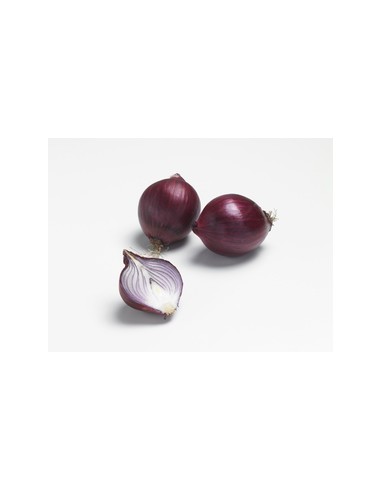 Plants de bulbes potagers BIO - variété oignon...