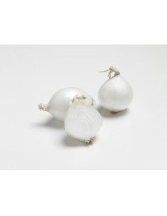 Plants de bulbes potagers - variété oignon blanc WHITE...